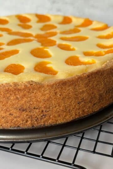 German Cheesecake with Mandarines on a cooling rack