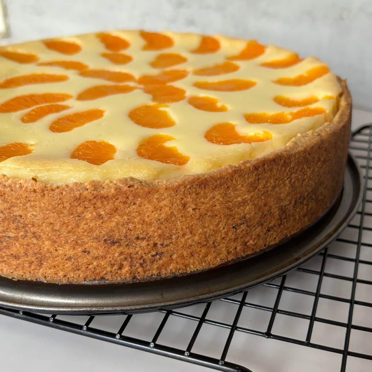 German Cheesecake with Mandarines on a cooling rack