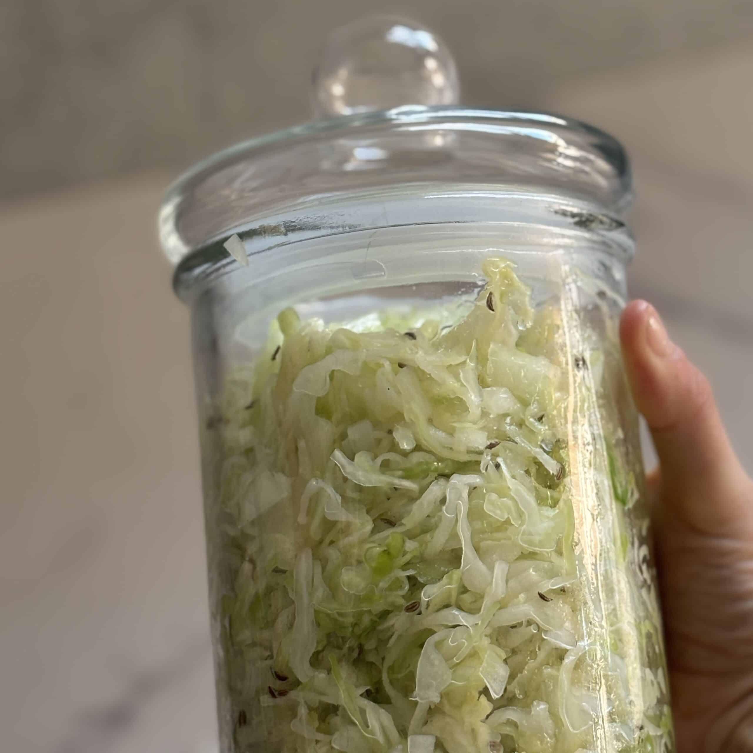 Jar of homemade sauerkraut with caraway seeds