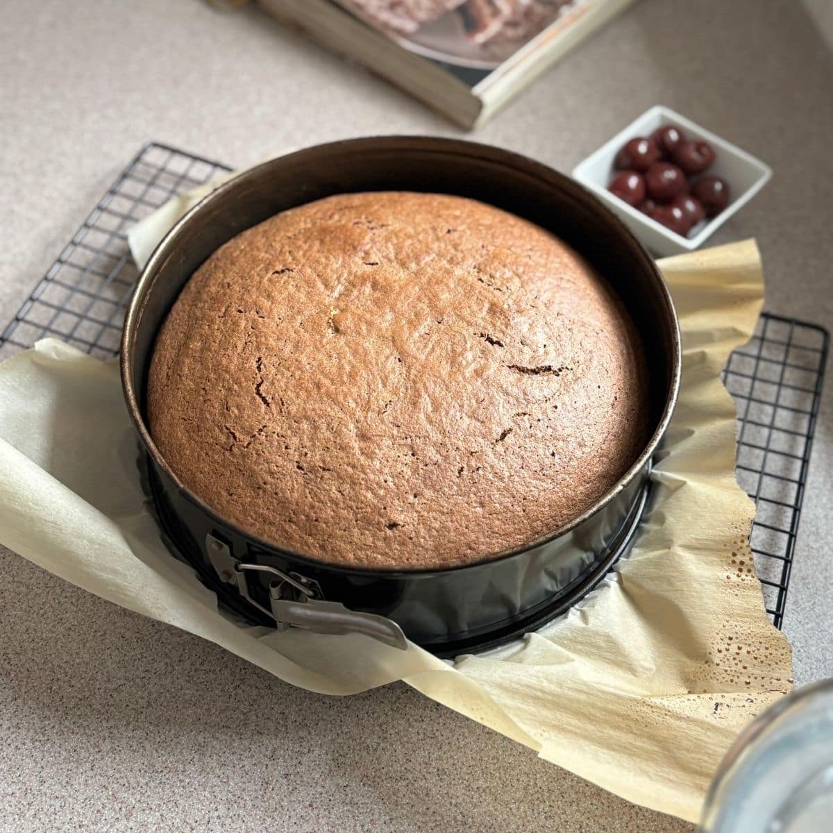 Baked chocolate sponge cake used for traditional German Black Forest cake