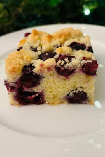 Blueberry Streusel Cake Slice