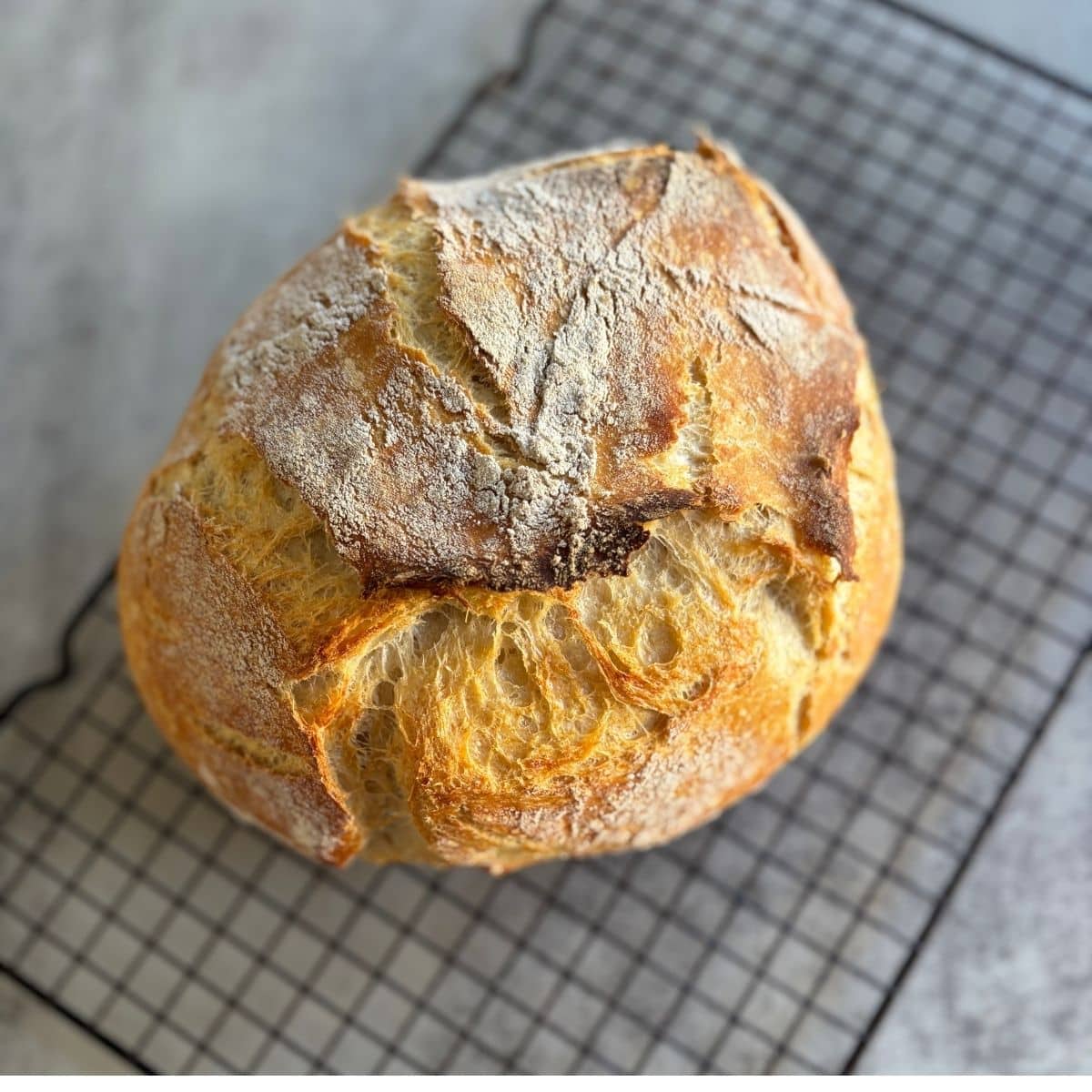 Rustic Yogurt Bread Loaf on cooling wire