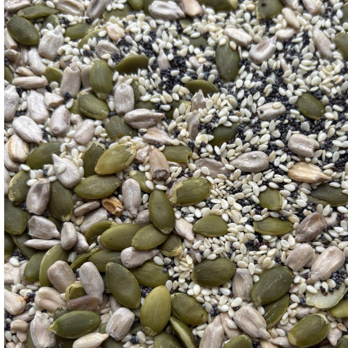 Variety of Seeds to use for German bread baking
